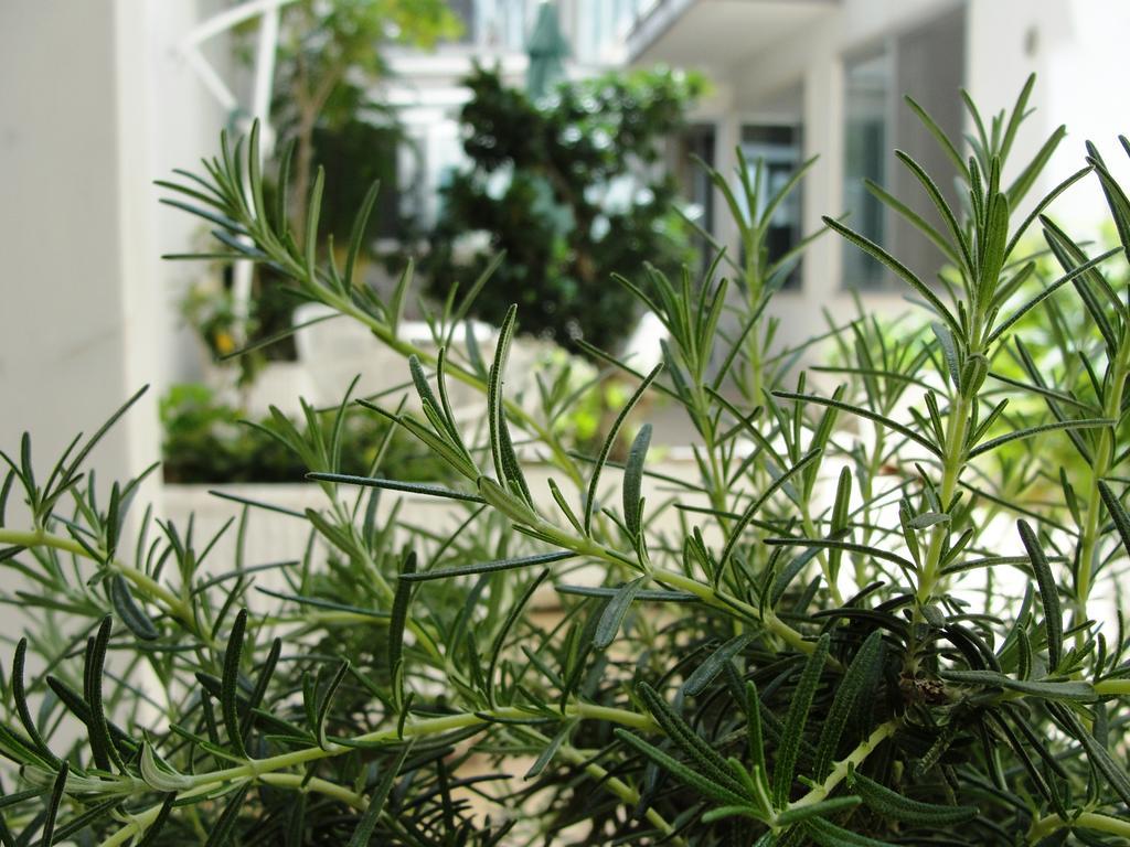 B&B Alma Grande Brindisi Ngoại thất bức ảnh