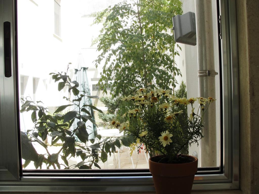 B&B Alma Grande Brindisi Ngoại thất bức ảnh